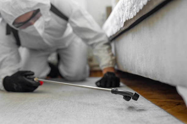 Professional Ant Control technician working in Rose Lodge, OR