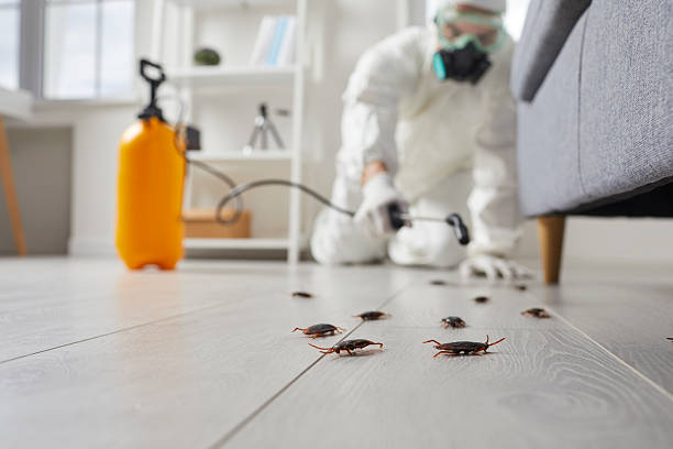 Trusted Cockroach Control service in Rose Lodge, OR - Nex Pest Control