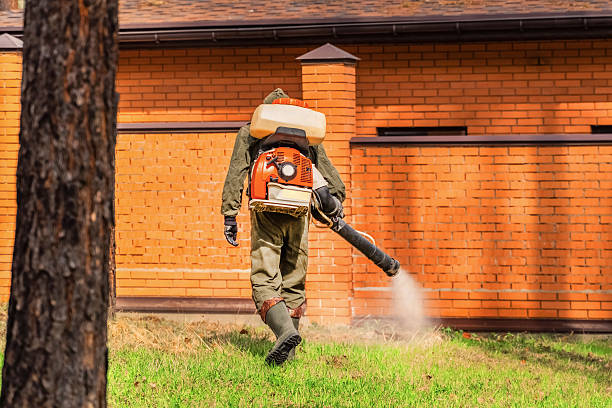 Trusted Ant Control service in Rose Lodge, OR - Nex Pest Control